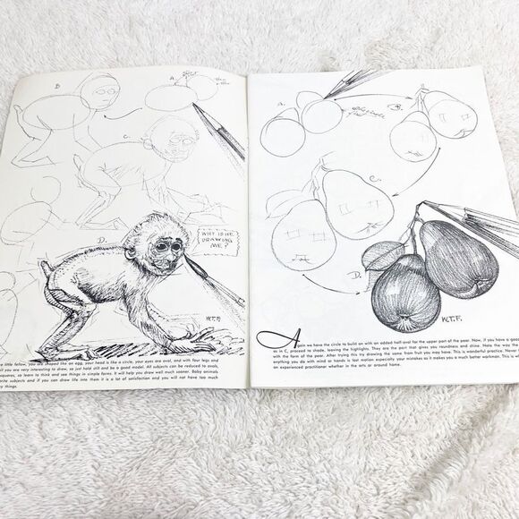 How To Draw Nature Still Life Lettering Walter T Foster Art Book #2 New Edition - Picture 2 of 9